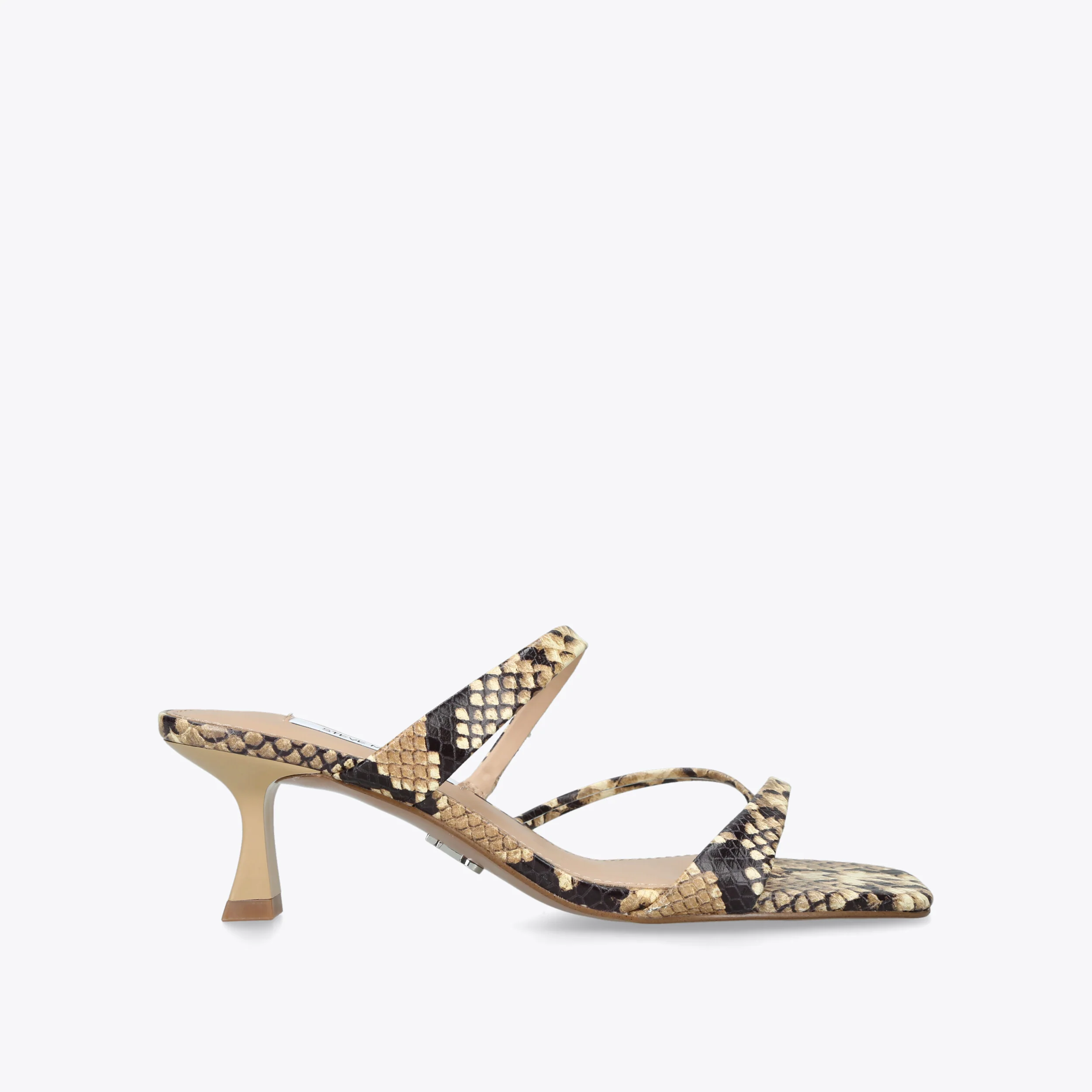 Ajay Snakeprint