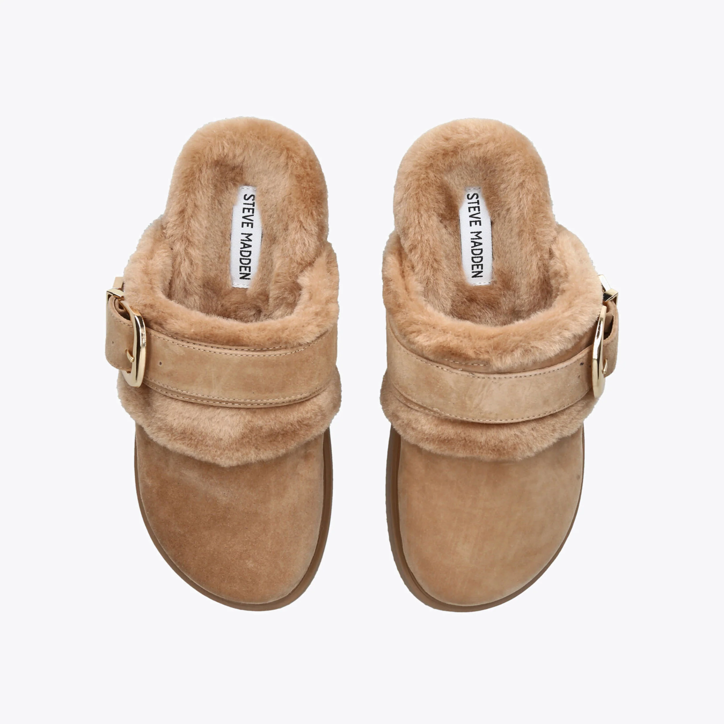 Cozy Tan - Image 2