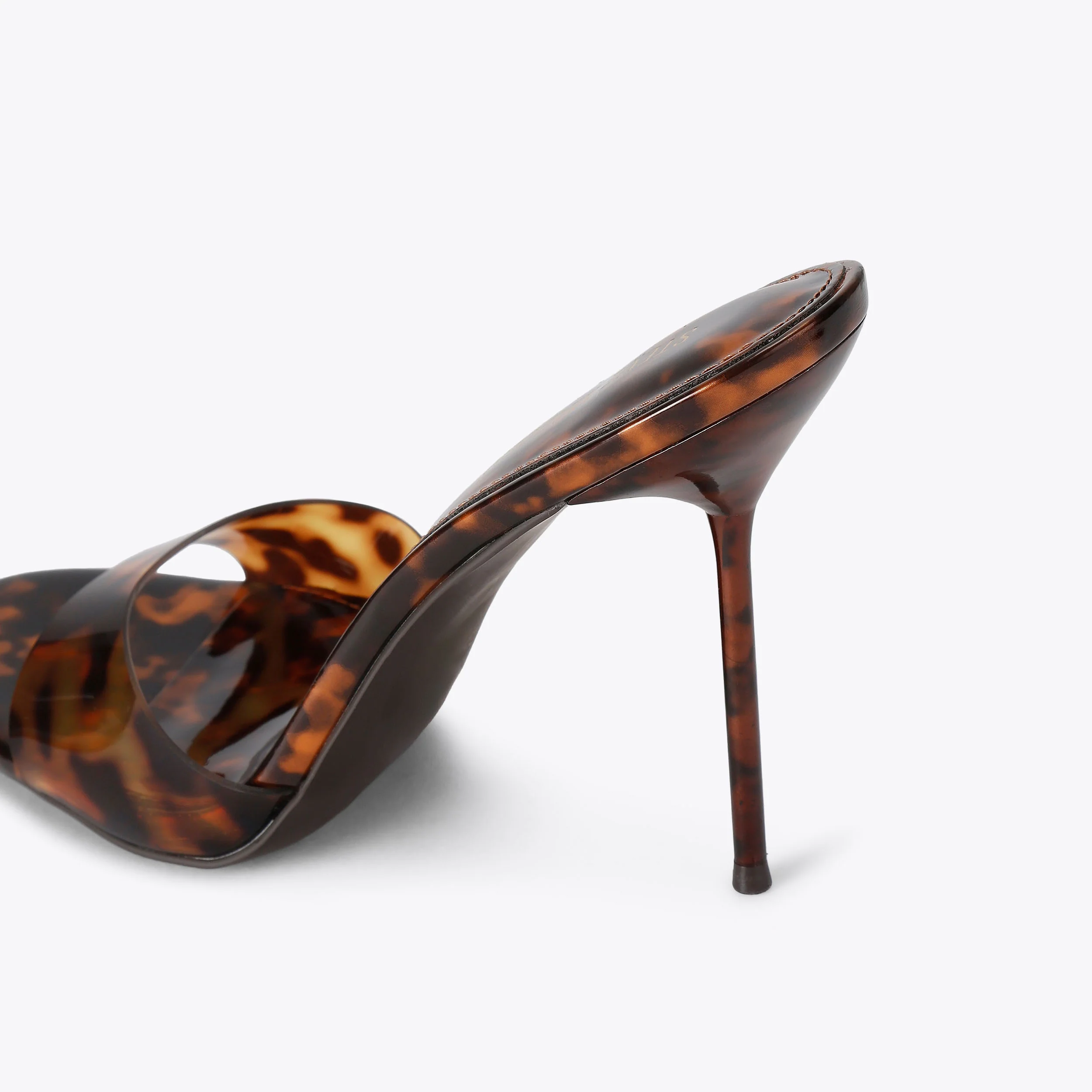 Davina Tortoise - Image 3