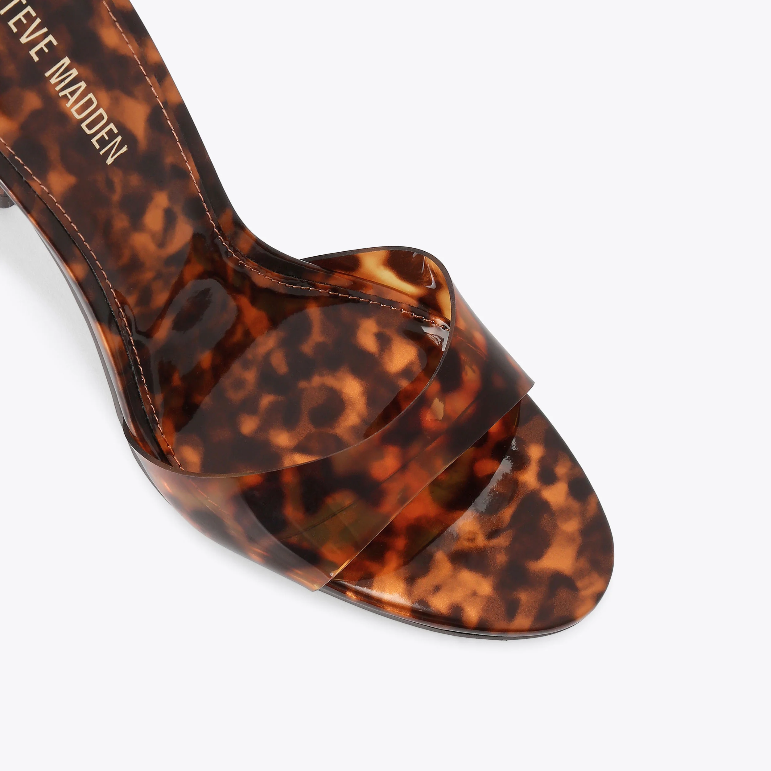 Davina Tortoise - Image 4