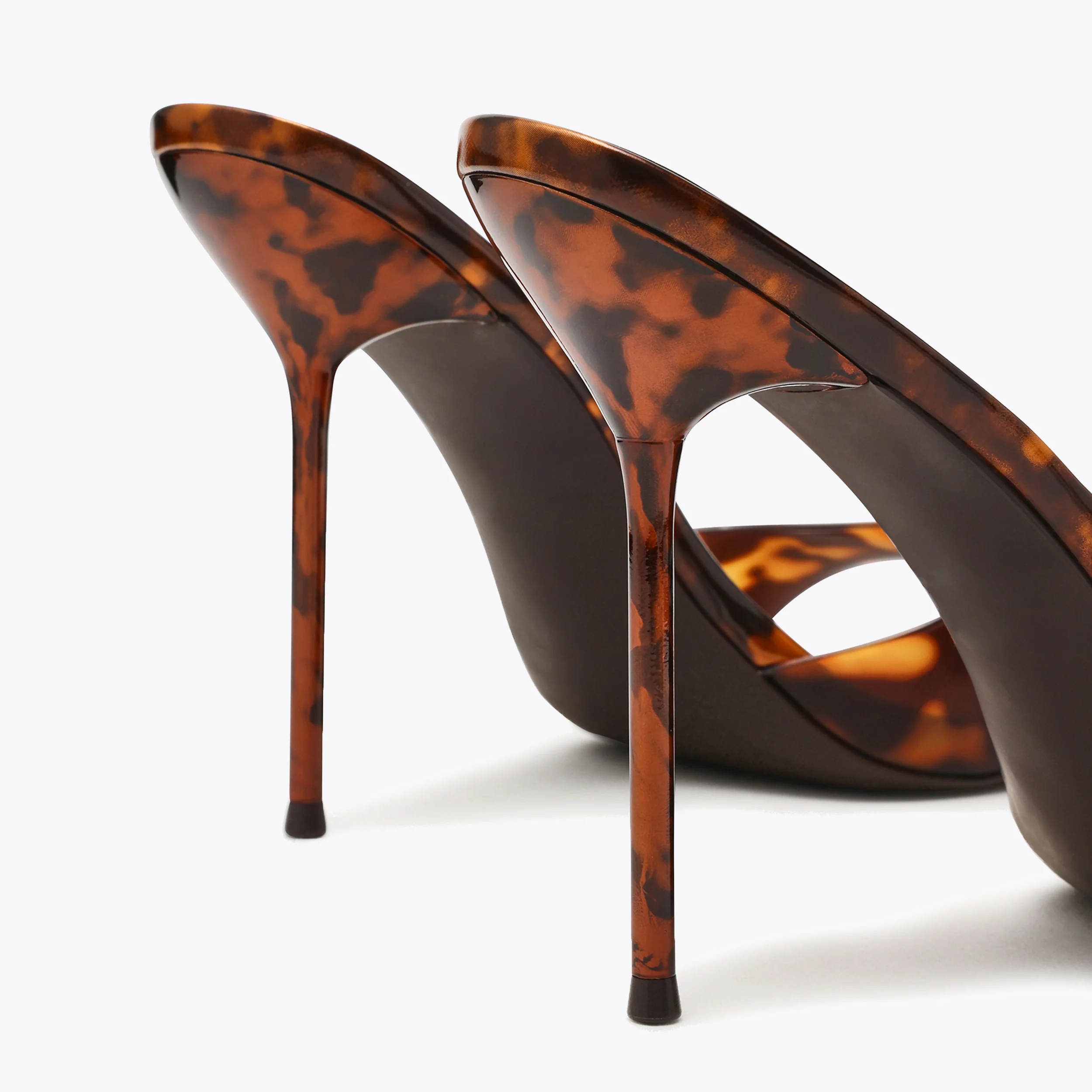Davina Tortoise - Image 5