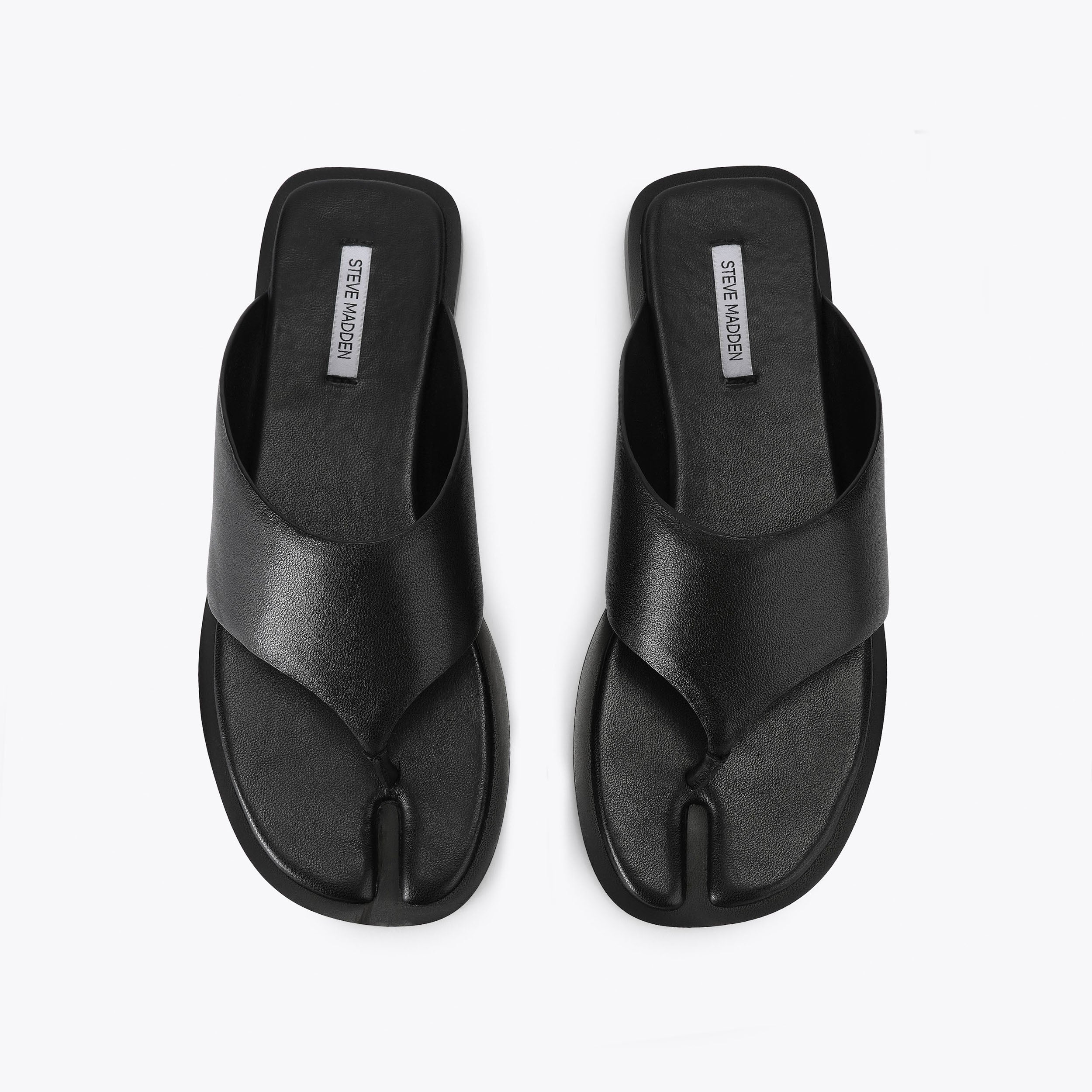 Illia Black - Image 2