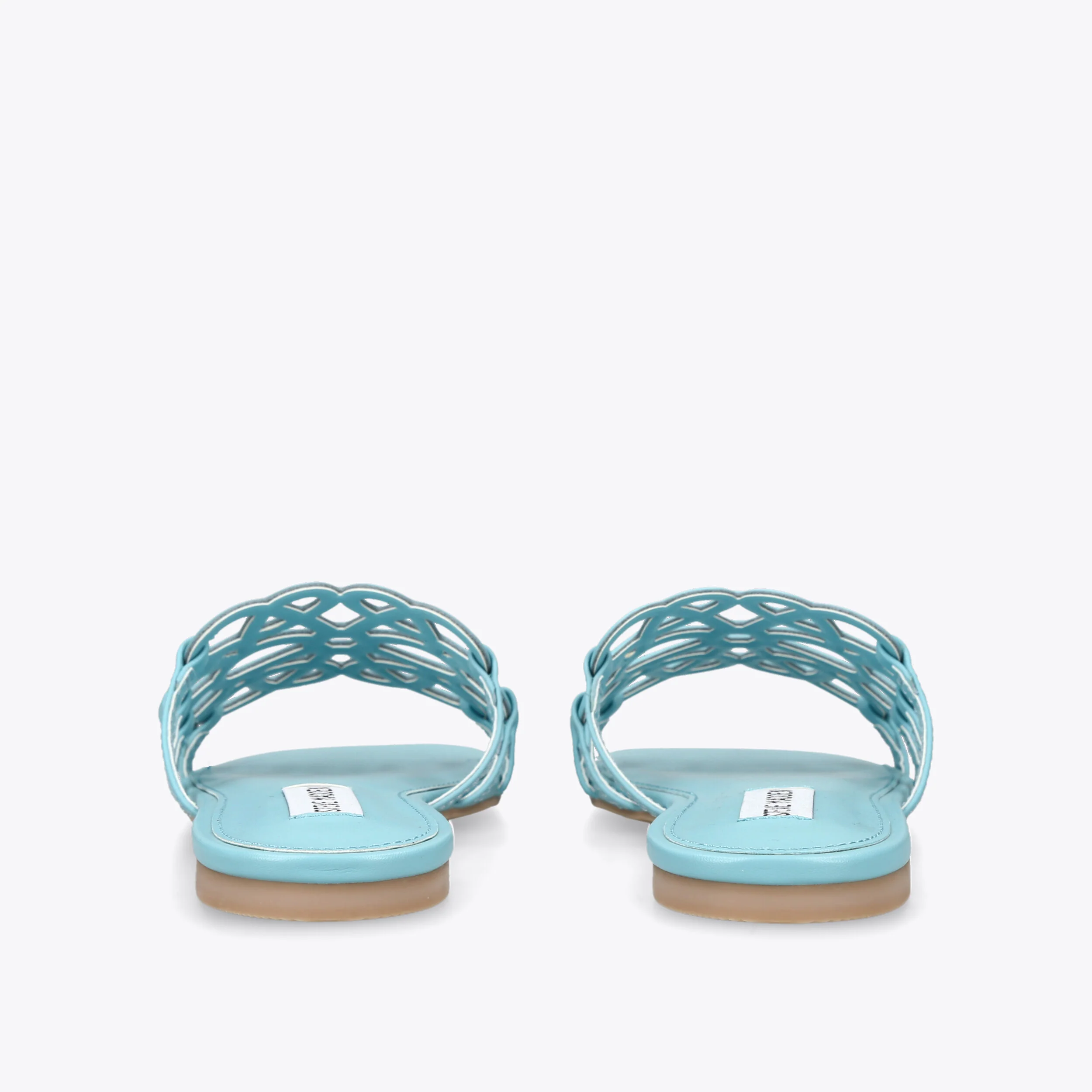 Lotus Blue - Image 3