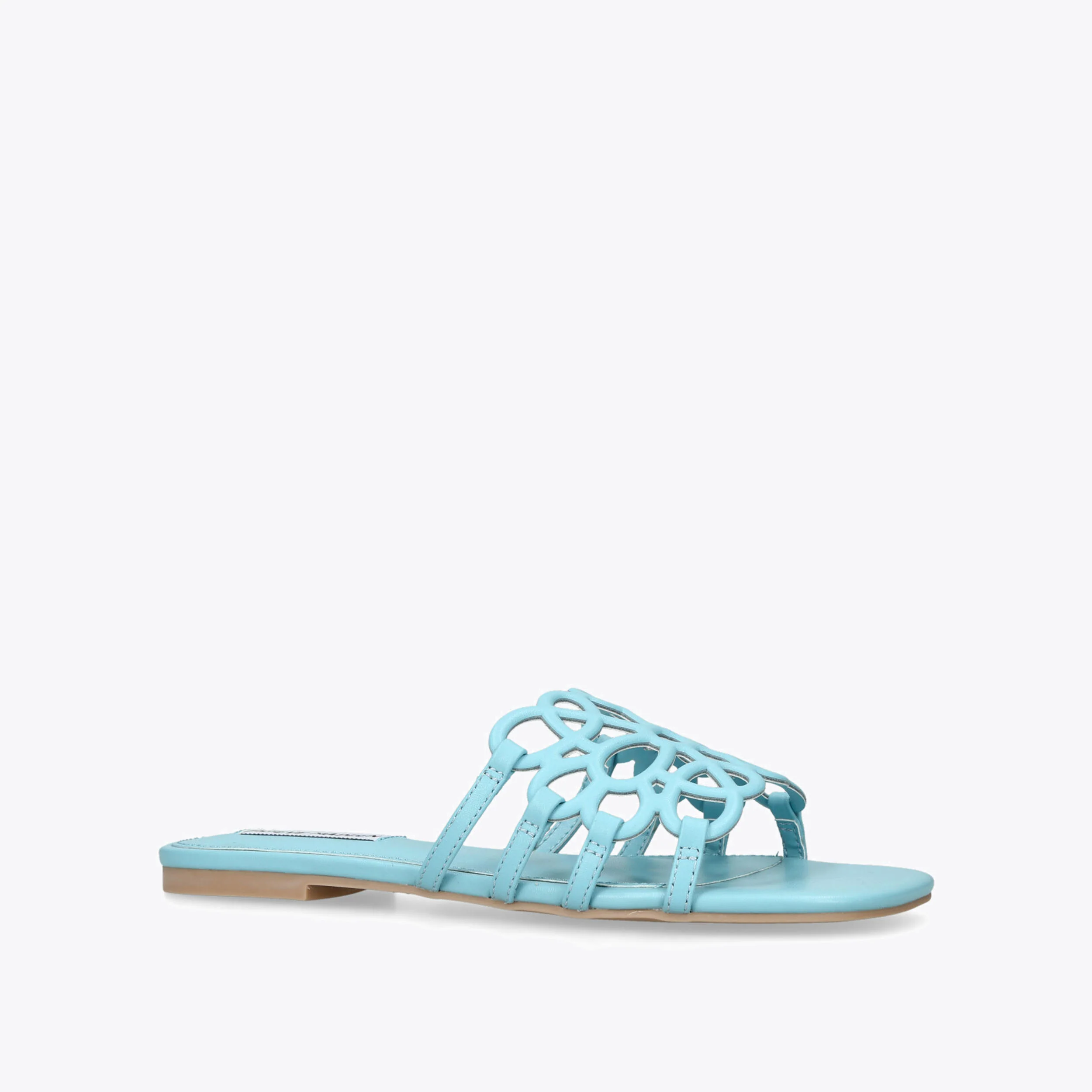Lotus Blue - Image 4