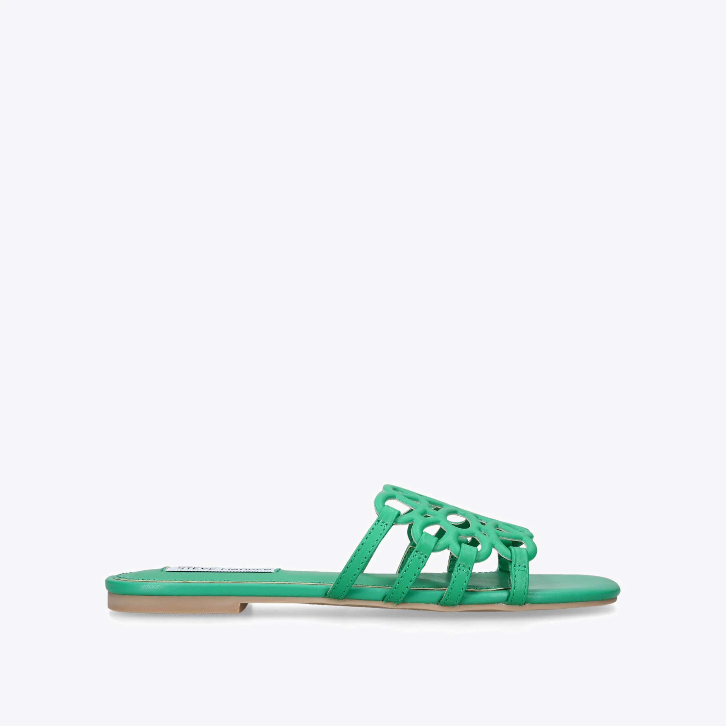 Lotus Green