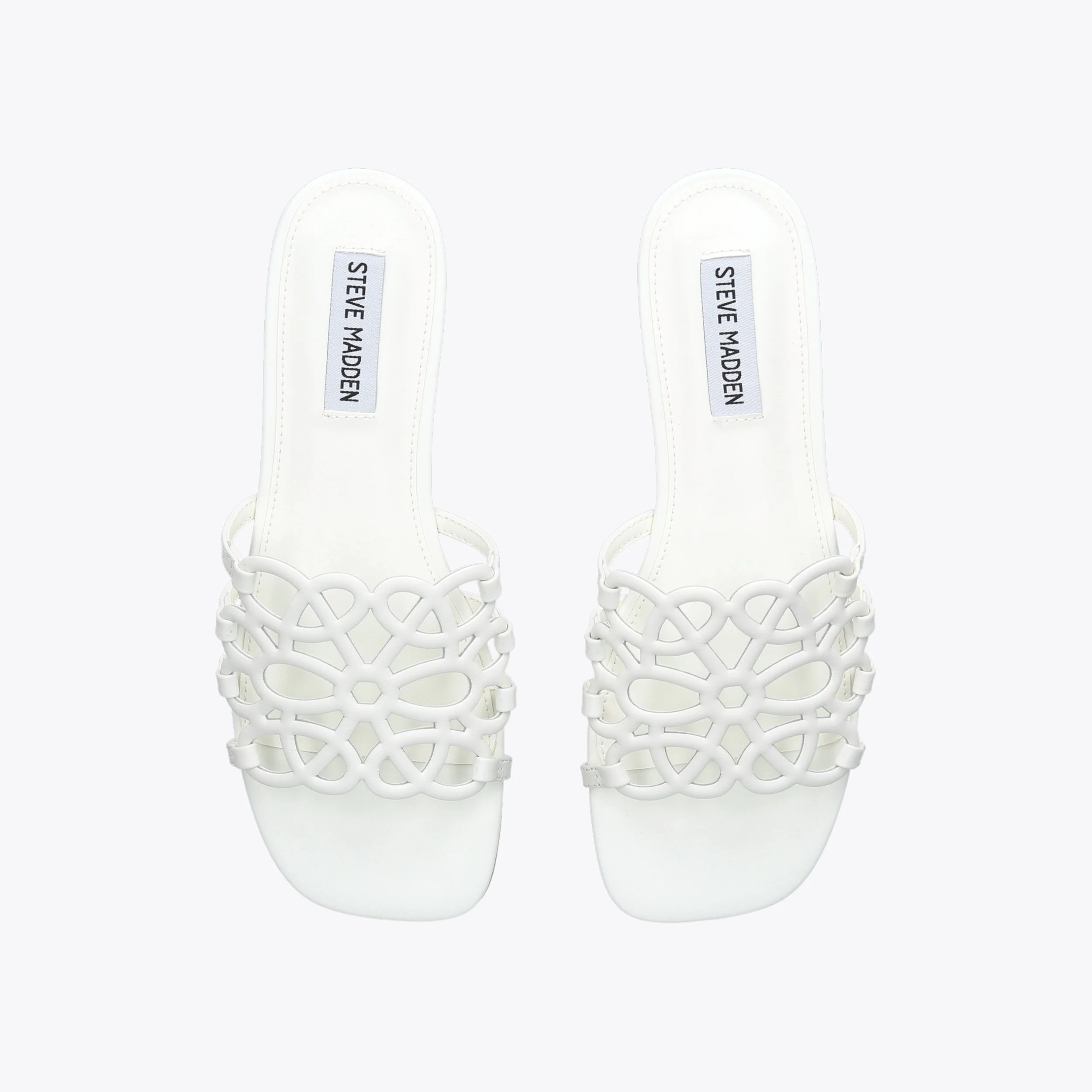 Lotus White - Image 2