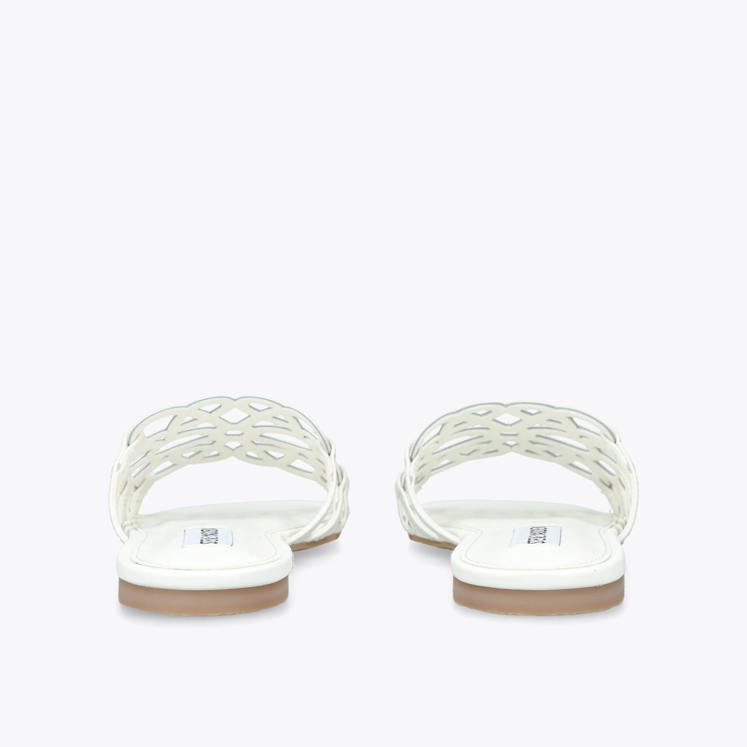 Lotus White - Image 3