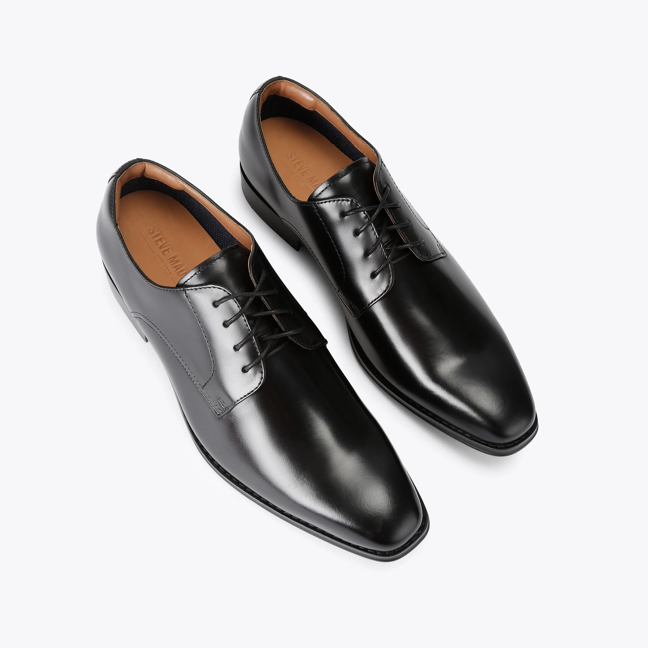 Parscal Black - Image 2