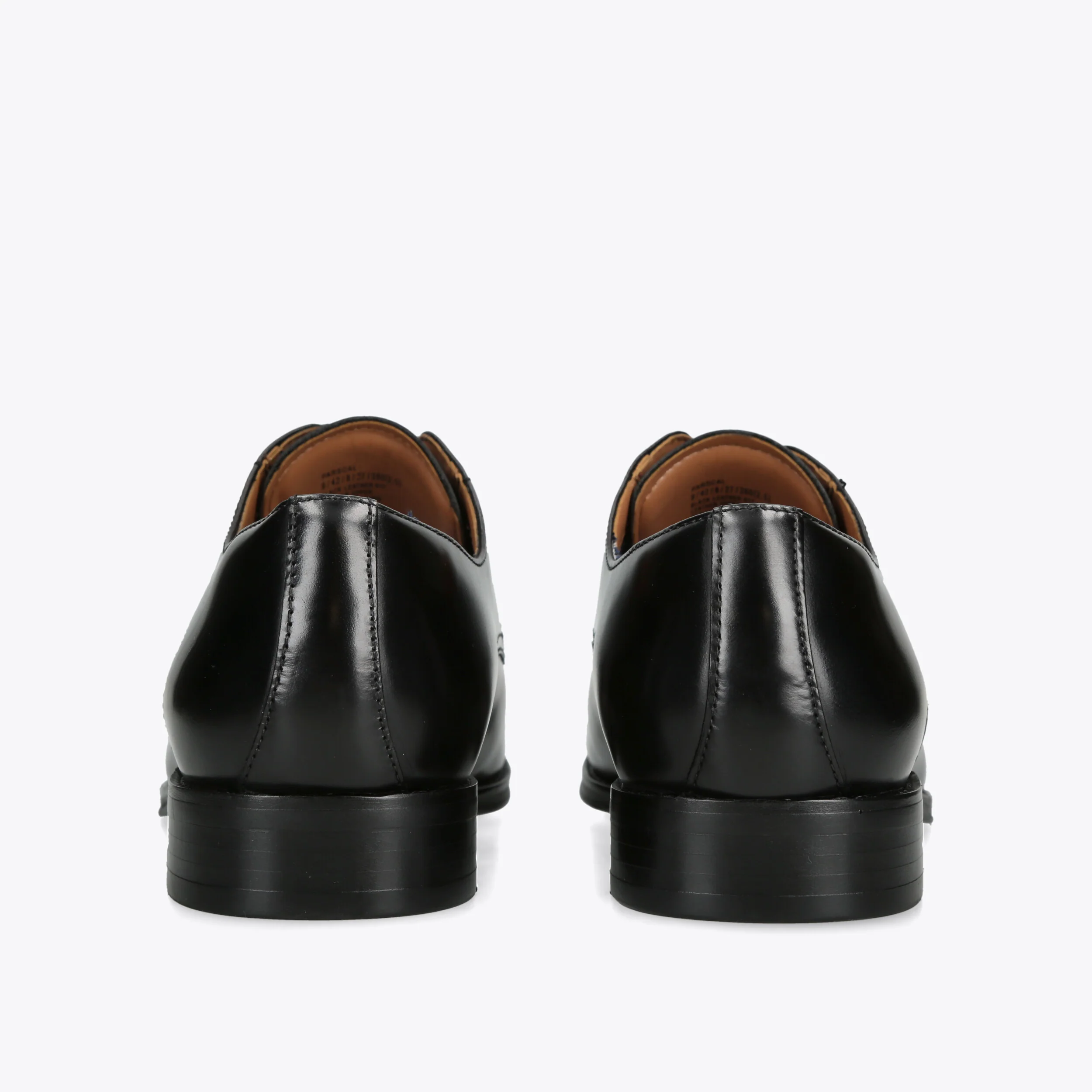 Parscal Black - Image 3